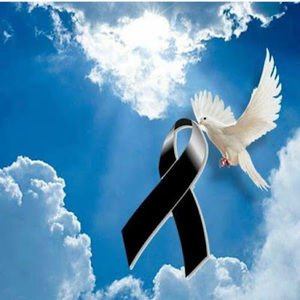 Meet your Posher, Ana